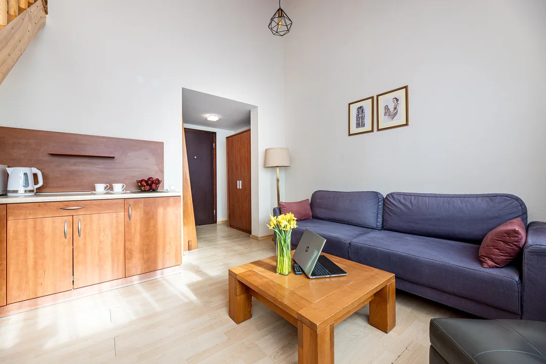 Apartamentų svetainė su sofa pirmame aukšte